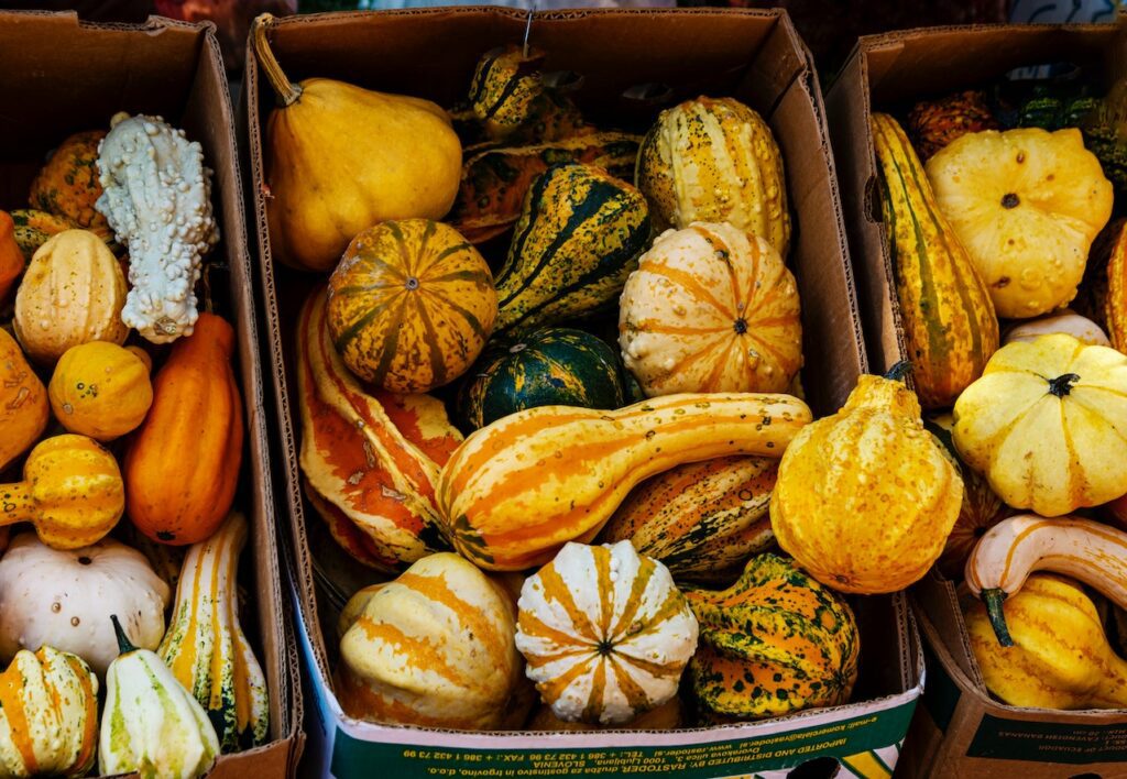 picking pumpkins ideas Fall family activities