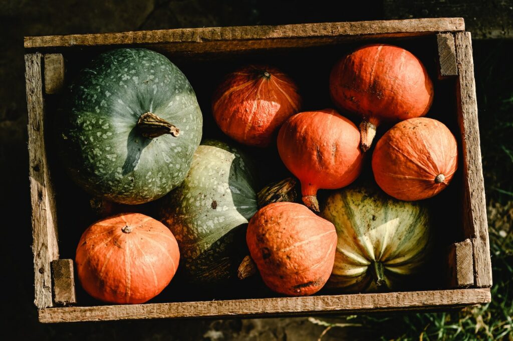 picking squash ideas Fall family activities