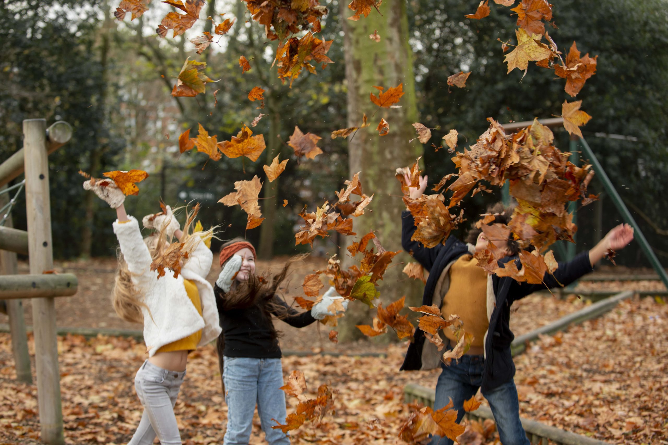 Fall activities that will make you fall in love with this season